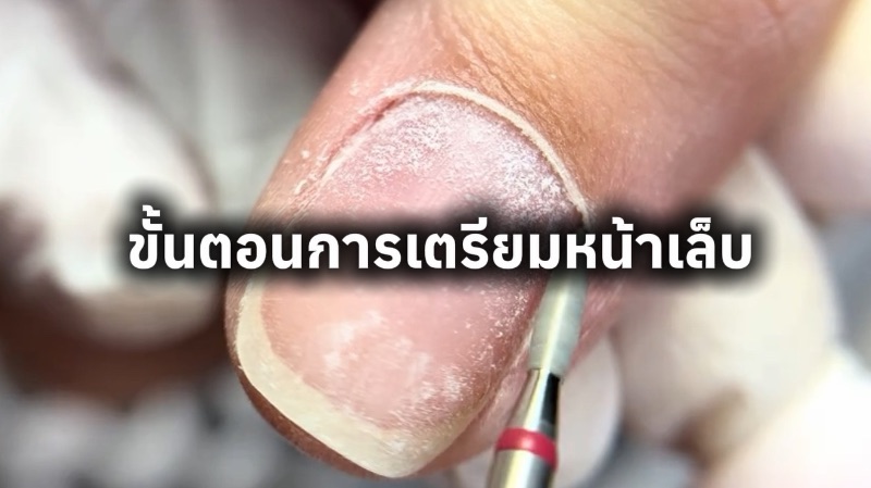 คอร์สเล็บเจลพื้นฐาน